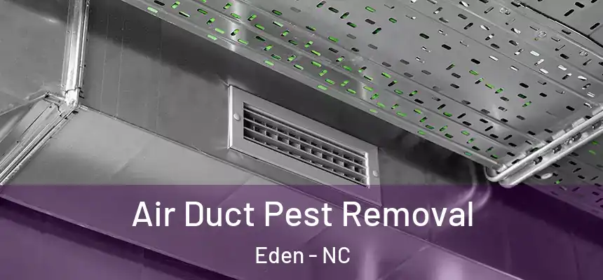  Air Duct Pest Removal Eden - NC