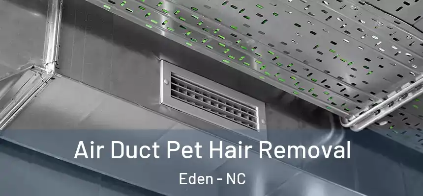 Air Duct Pet Hair Removal Eden - NC