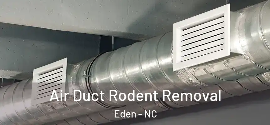  Air Duct Rodent Removal Eden - NC
