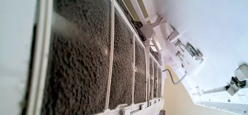 Preventive Air Duct Bacteria Removal in Eden