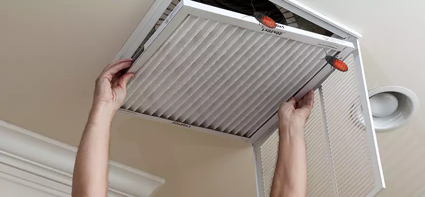 Our Insect Removal from Air Ducts Services in Eden, NC