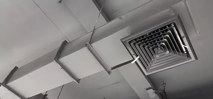 Our Rodent Droppings In Vents Services in Eden, NC