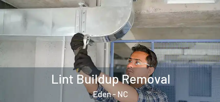  Lint Buildup Removal Eden - NC