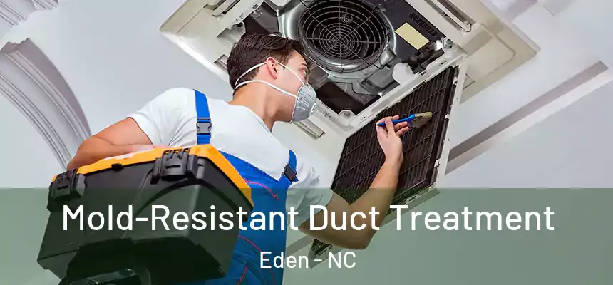 Mold-Resistant Duct Treatment Eden - NC