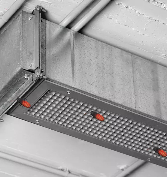 About Air Duct Cockroach Removal in Eden, NC