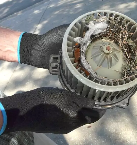 About Air Duct Mice Removal in Eden, NC