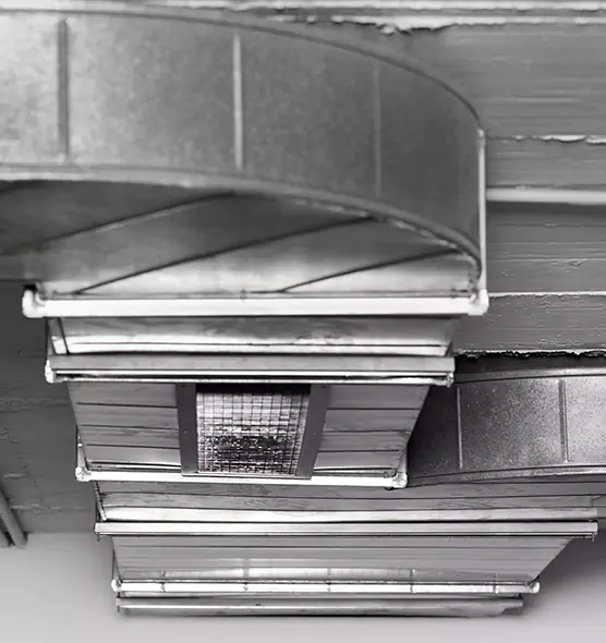 Professional Air Duct Pest Removal in Eden, NC