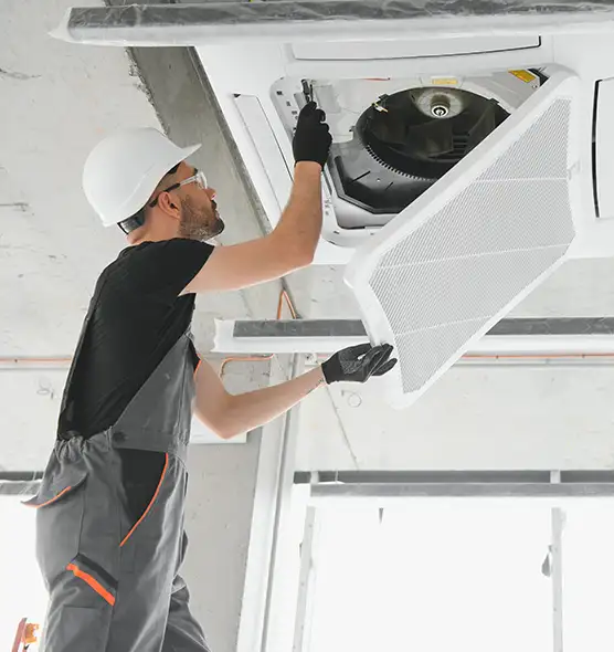 About Air Duct Rodent Removal in Eden, NC