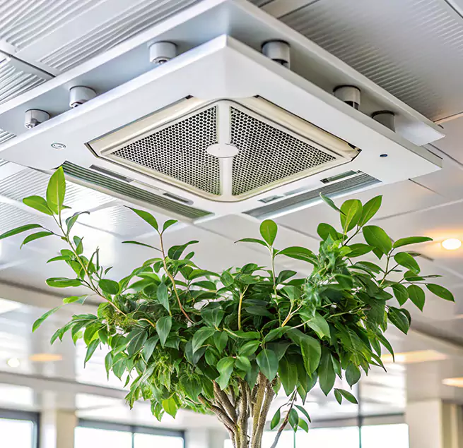 Why Homeowners & Businesses Trust Us in Eden, NC?